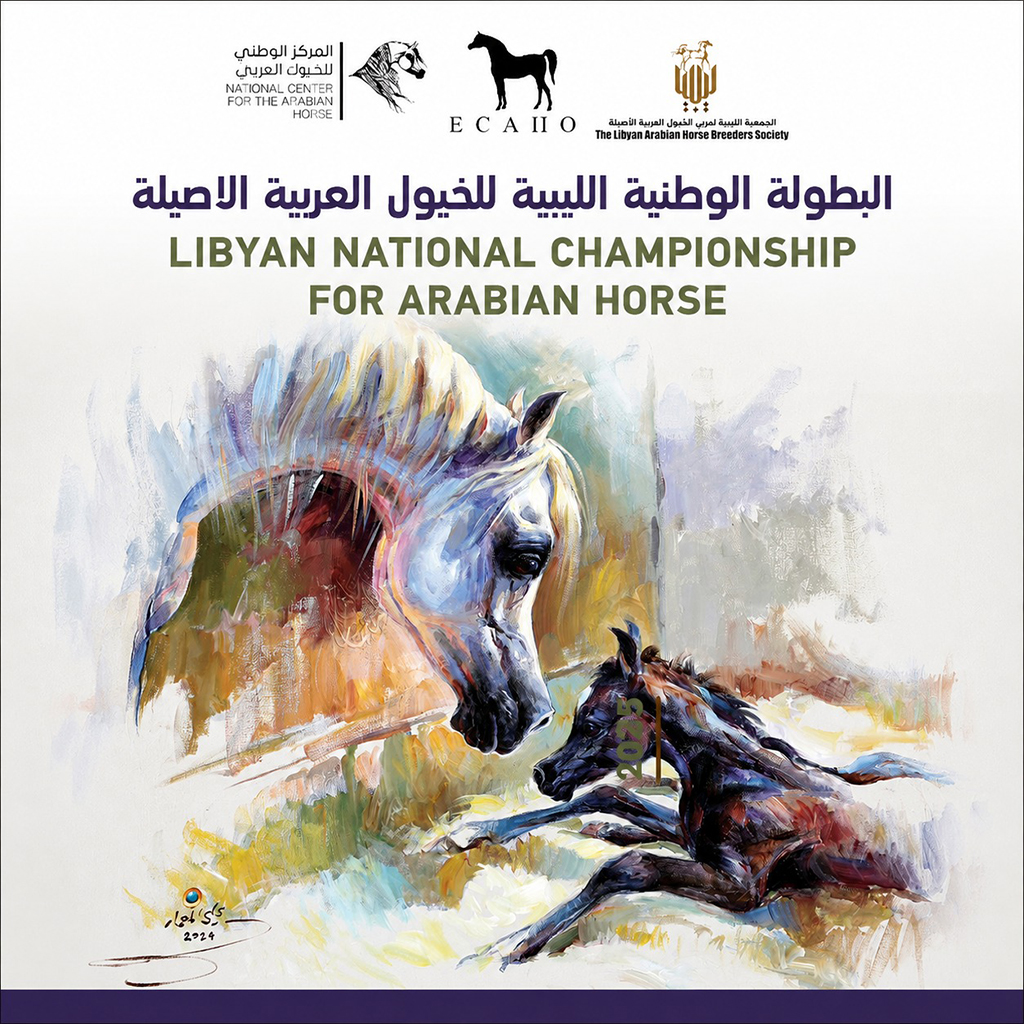 Promo Poster